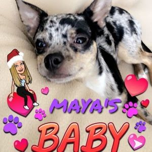 Meet your Posher, Mays